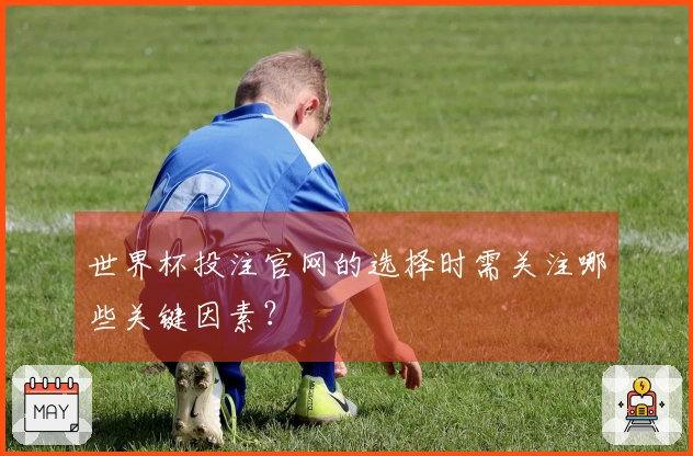 世界杯投注官网的选择时需关注哪些关键因素？