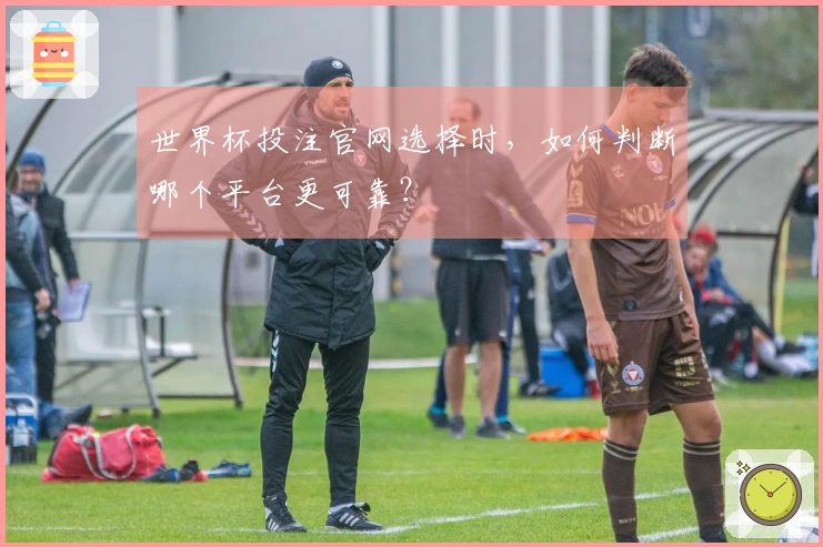 世界杯投注官网选择时，如何判断哪个平台更可靠？