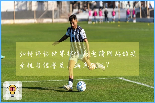 如何评估世界杯体彩竞猜网站的安全性与信誉度，避免踩坑？