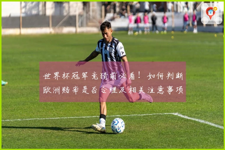 世界杯冠军竞猜前必看！如何判断欧洲赔率是否合理及相关注意事项