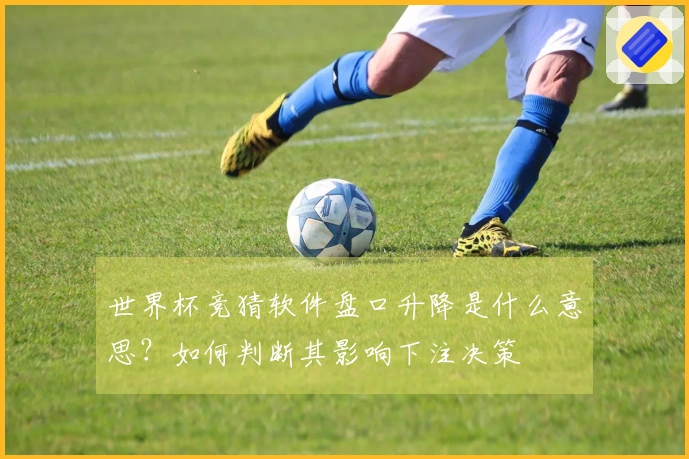 世界杯竞猜软件盘口升降是什么意思？如何判断其影响下注决策