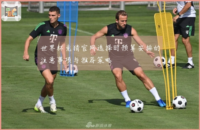 世界杯竞猜官网选择时预算安排的注意事项与推荐策略