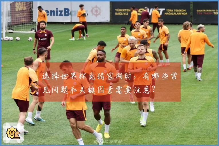 选择世界杯竞猜官网时，有哪些常见问题和关键因素需要注意？