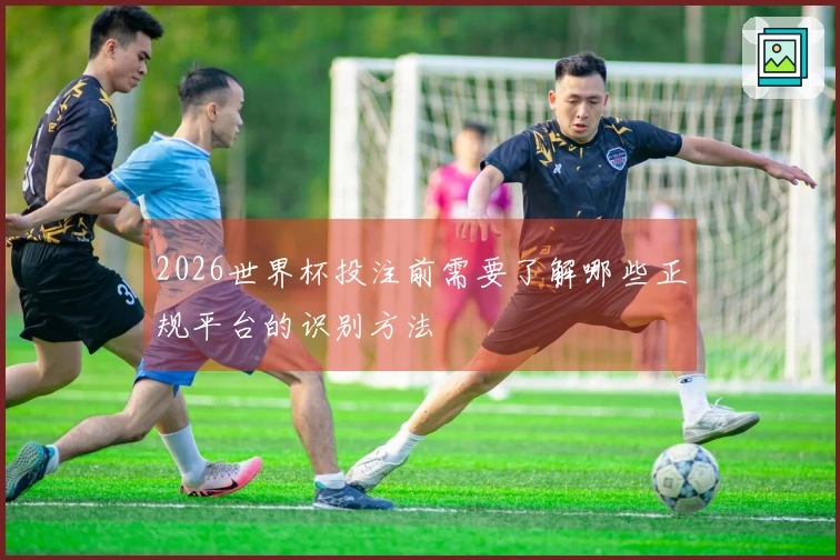 2026世界杯投注前需要了解哪些正规平台的识别方法