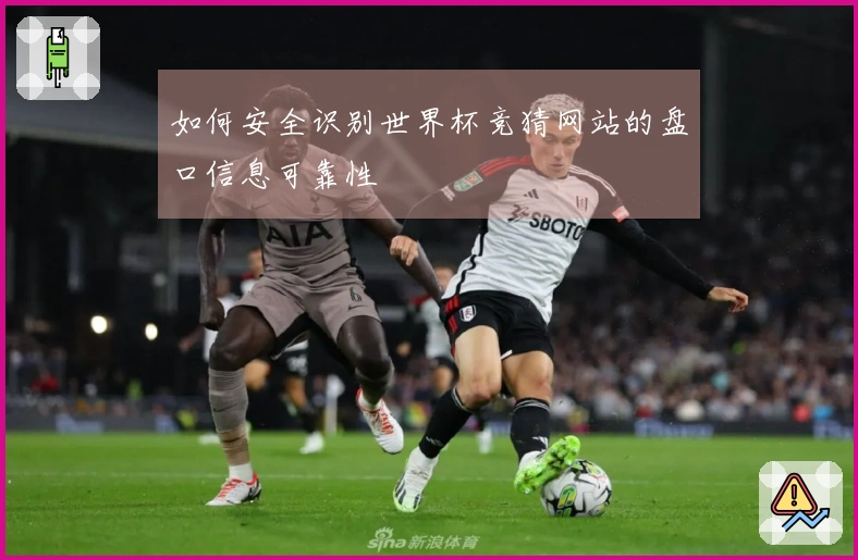 如何安全识别世界杯竞猜网站的盘口信息可靠性