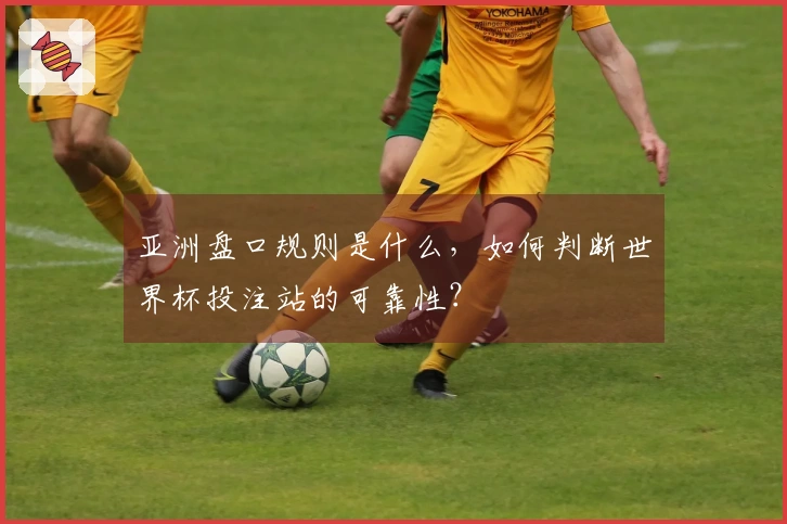 亚洲盘口规则是什么，如何判断世界杯投注站的可靠性？