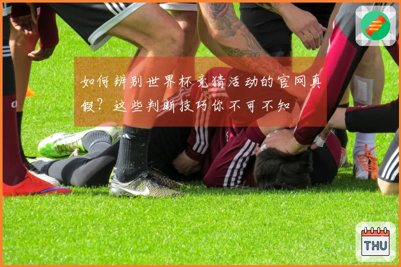 如何辨别世界杯竞猜活动的官网真假？这些判断技巧你不可不知