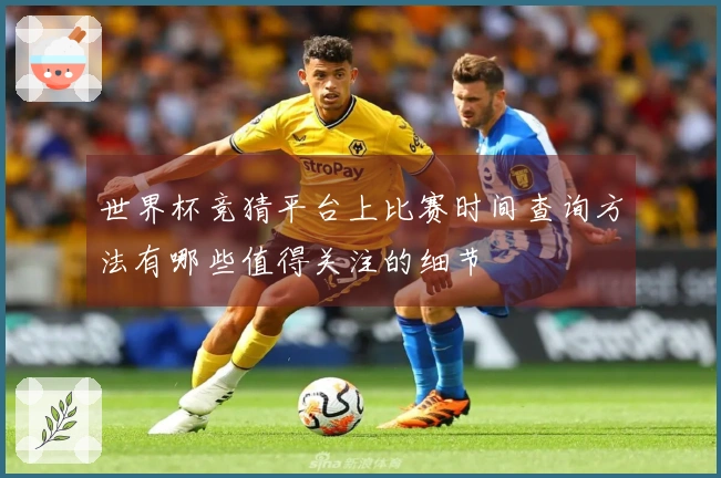 世界杯竞猜平台上比赛时间查询方法有哪些值得关注的细节