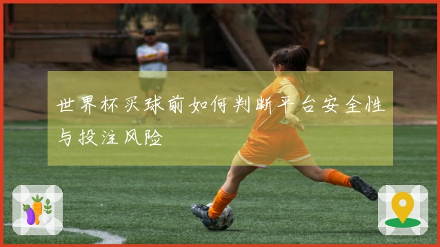 世界杯买球前如何判断平台安全性与投注风险