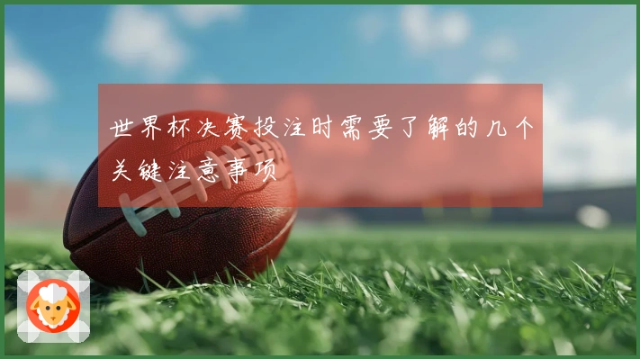 世界杯决赛投注时需要了解的几个关键注意事项