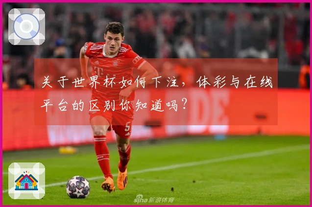 关于世界杯如何下注，体彩与在线平台的区别你知道吗？