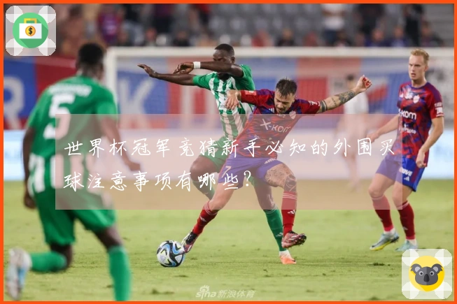 世界杯冠军竞猜新手必知的外围买球注意事项有哪些？