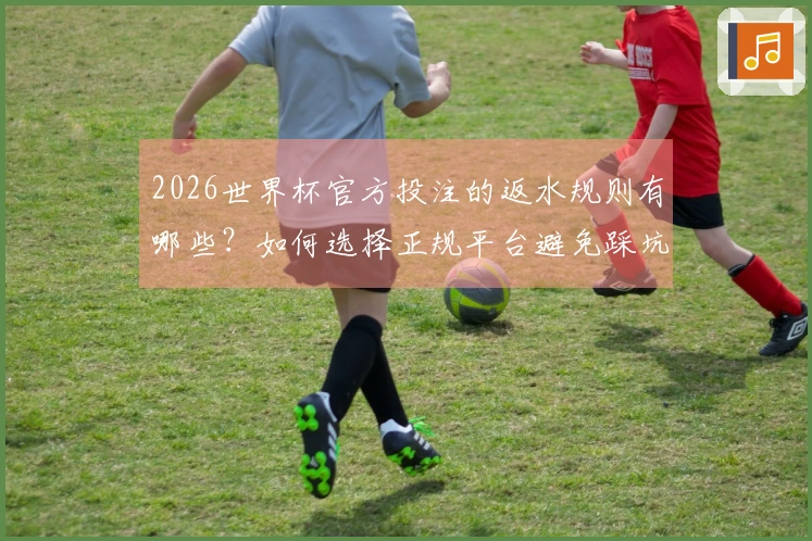 2026世界杯官方投注的返水规则有哪些？如何选择正规平台避免踩坑