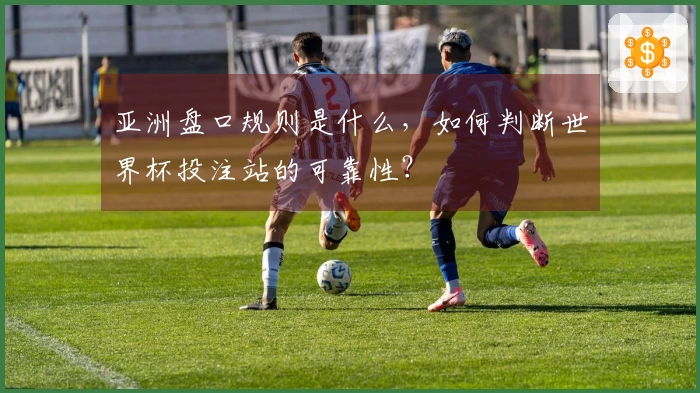 亚洲盘口规则是什么，如何判断世界杯投注站的可靠性？