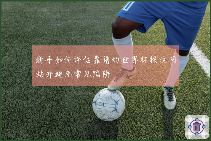 新手如何评估靠谱的世界杯投注网站并避免常见陷阱