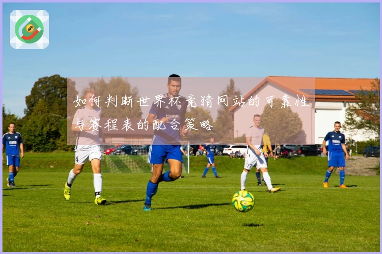 如何判断世界杯竞猜网站的可靠性与赛程表的配合策略