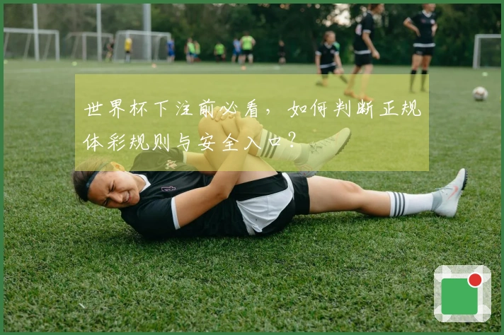 世界杯下注前必看，如何判断正规体彩规则与安全入口？